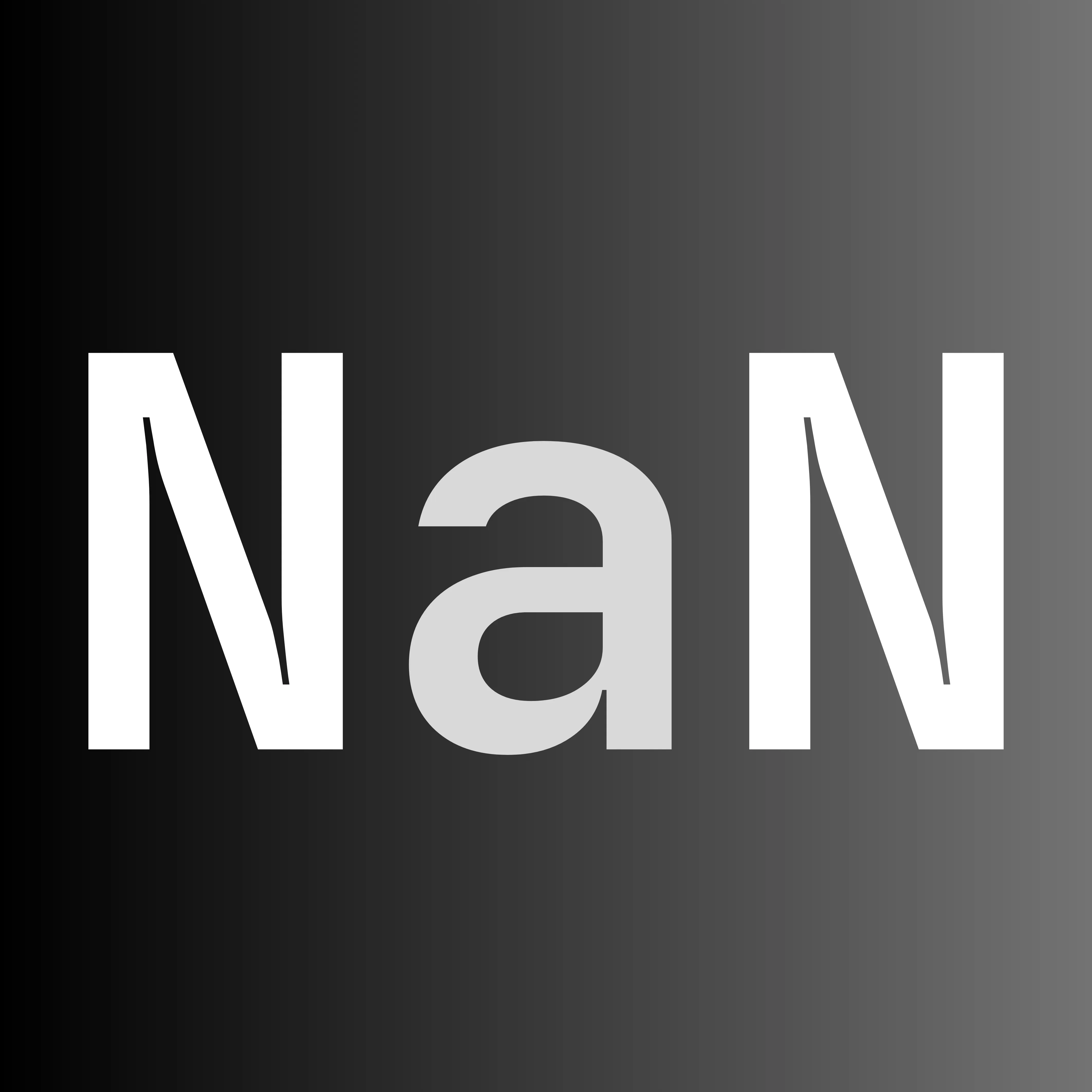 NullorNaN Systems logo
